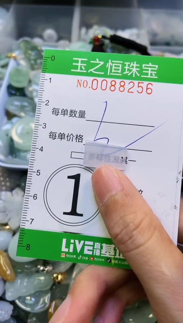 翡翠未镶嵌颈饰闪购0088256