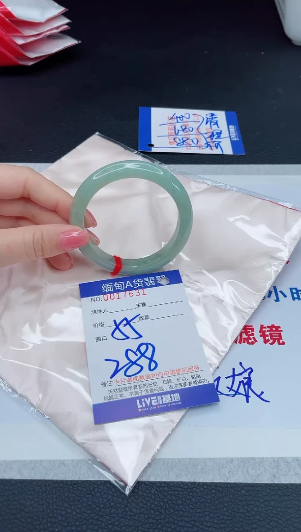 未镶嵌手镯翡翠2