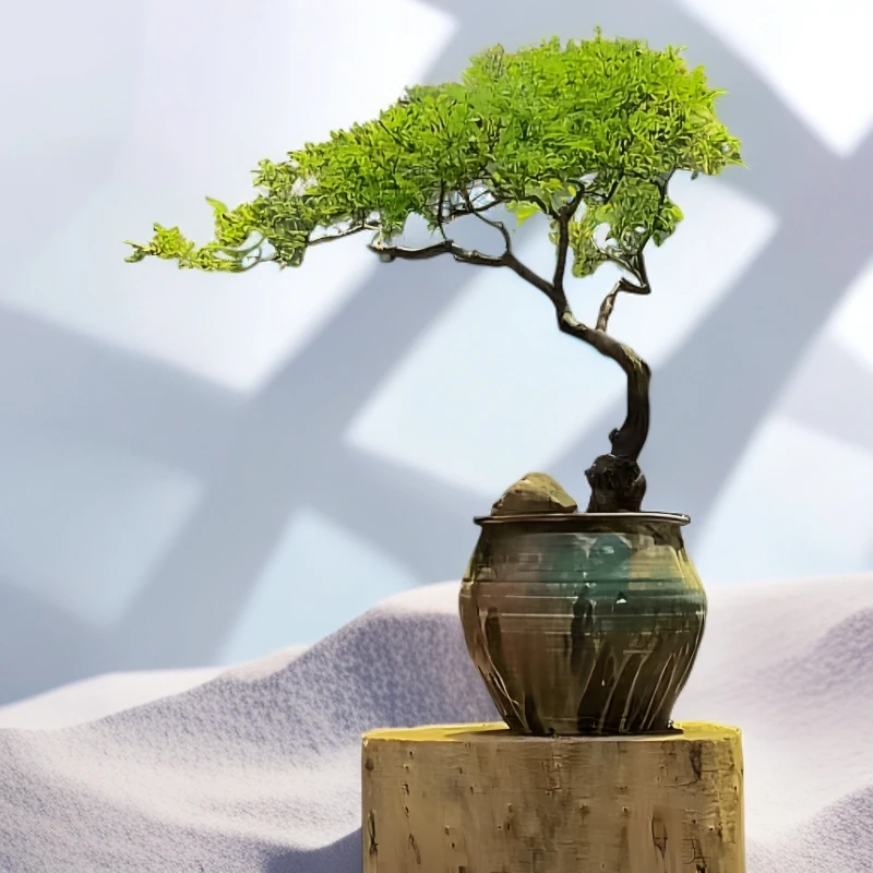 黄荆小叶崖荆盆景庭院植物一物一拍（直播链接，私拍随机发货）