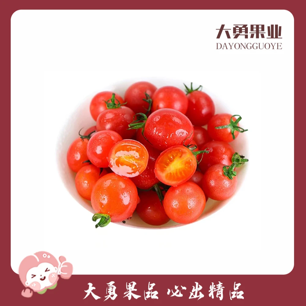 千禧小番茄  约500g/盒  (酸甜口感，汁水足)番茄同城配小番茄