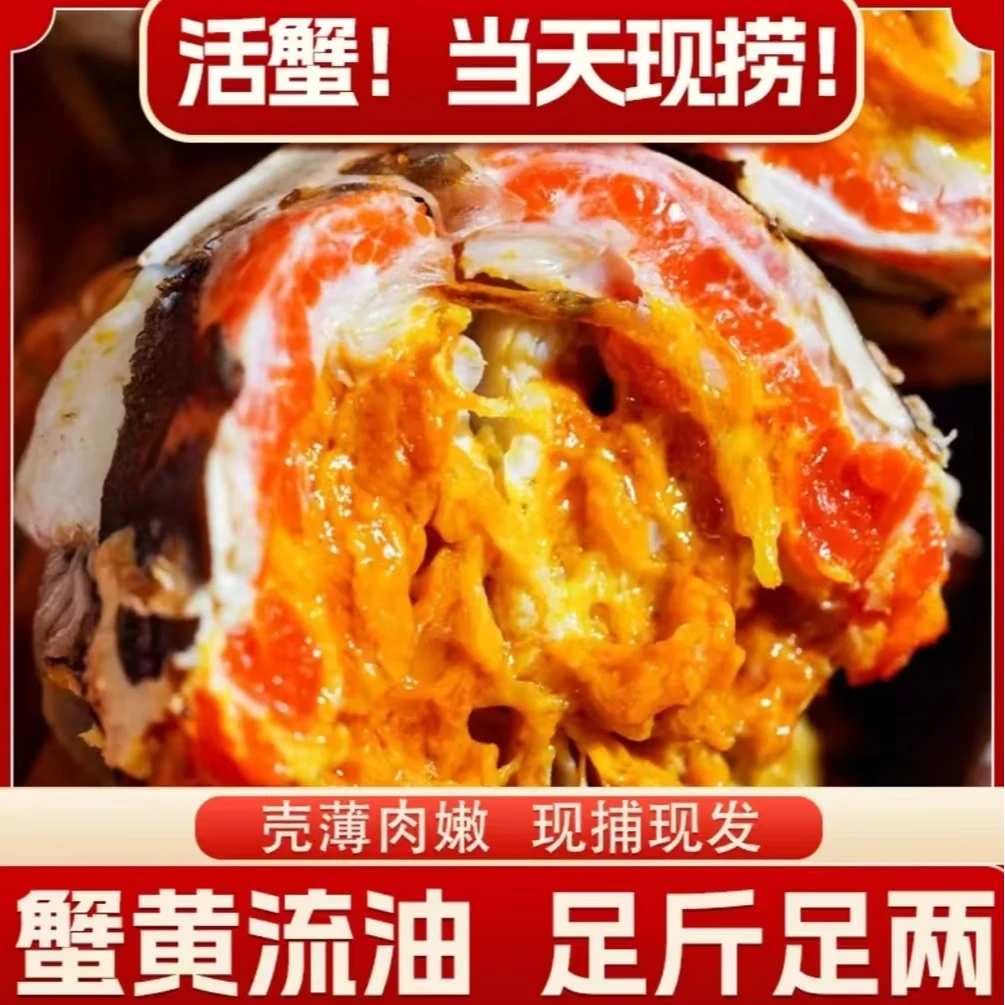 【活蟹现发】苏州精品大闸蟹8/10只母蟹2.4-2.6两礼盒装顺丰JD包邮