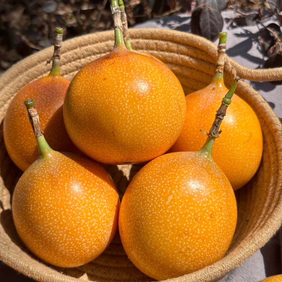 西双版纳热情果特大果 纯甜无酸 新鲜热带孕妇水果