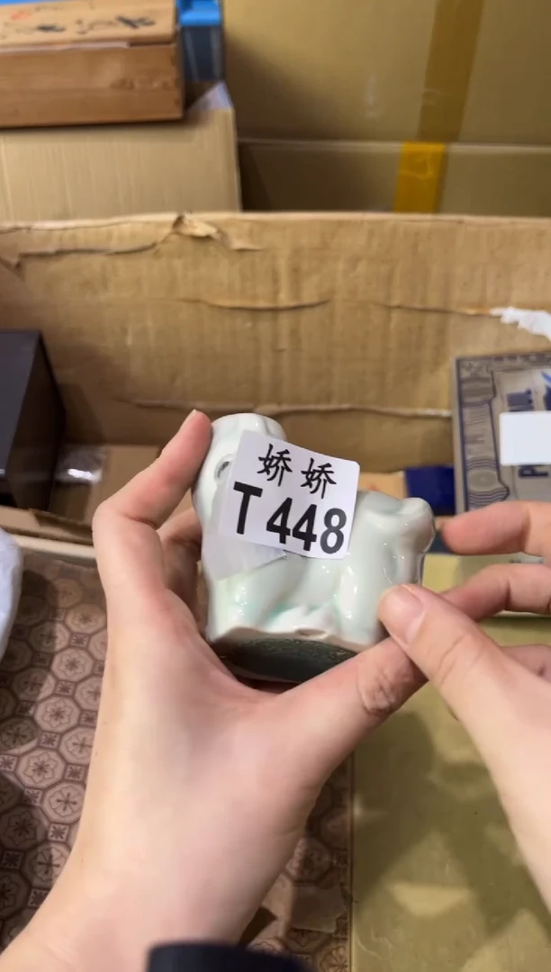 瓷片Z*安448定向 Z小安