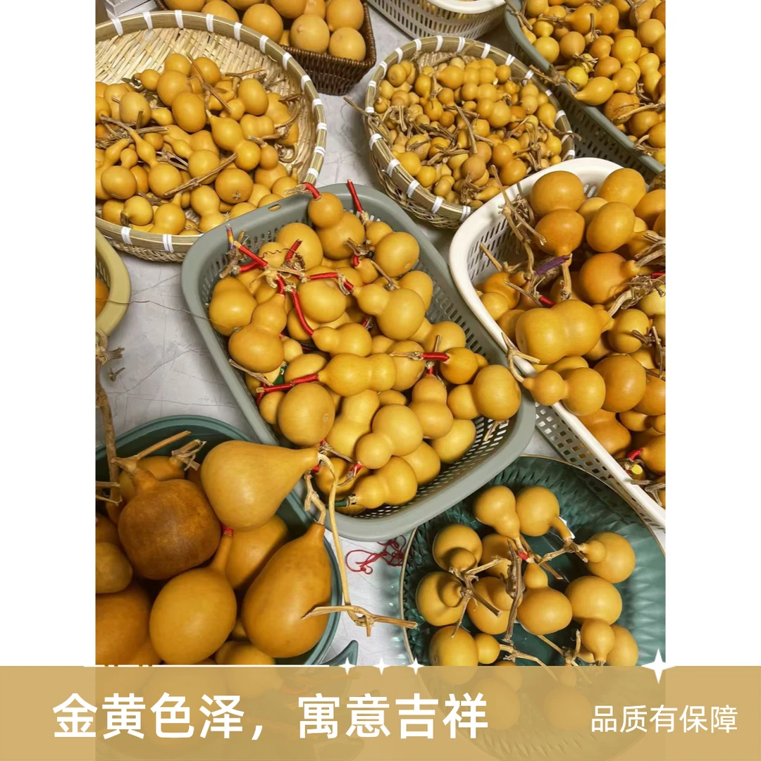 精品尖货3年老皮葫芦一件一物