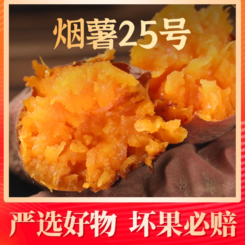 【坏果包赔】烟薯25号4.5斤装软糯香甜新鲜现挖糖心流油