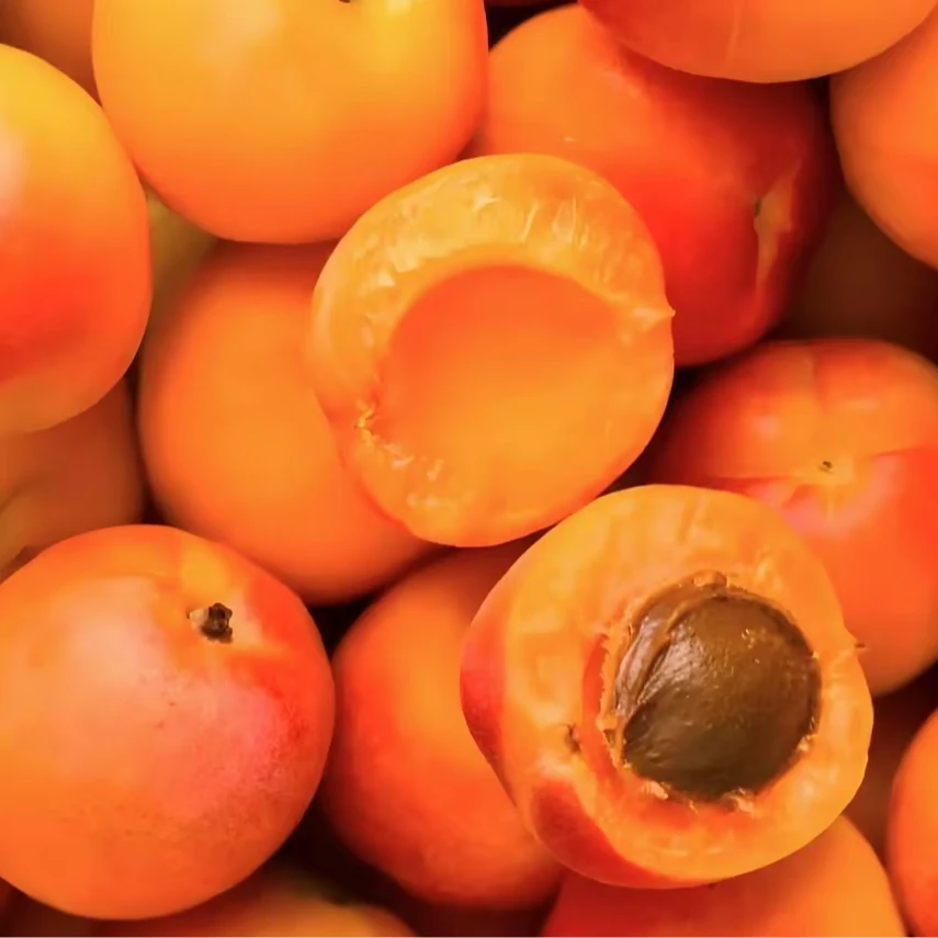 【绿野大叔】新疆空运吊干杏软糯香甜3斤左右原箱-顺丰