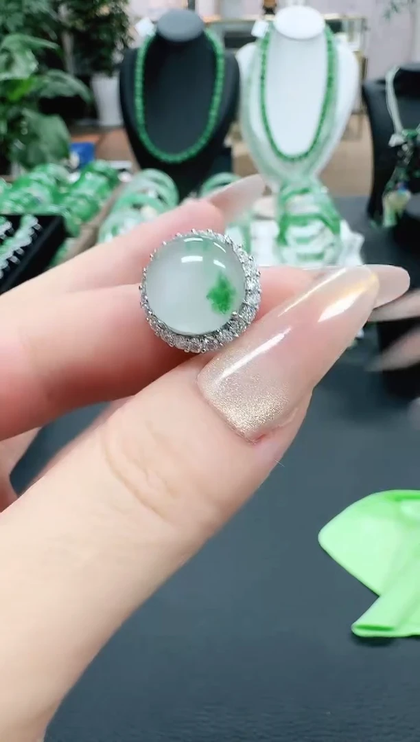 未镶嵌1石英质玉（非洲翠）/4808