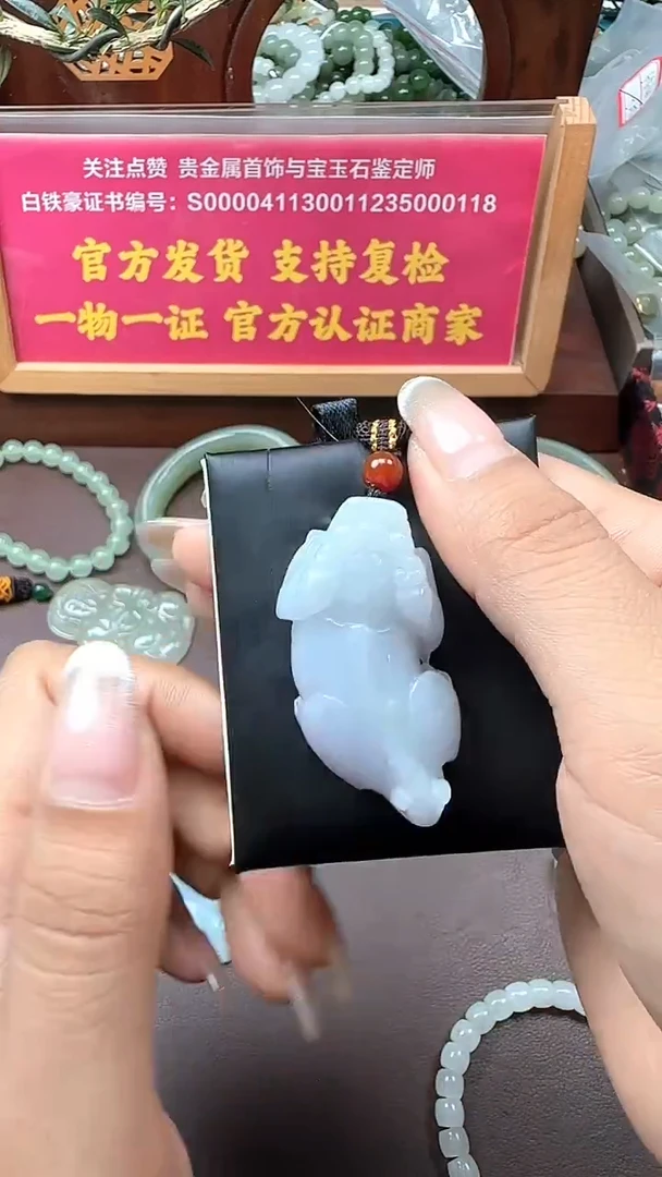 颈饰未镶嵌翡翠翡翠貔貅