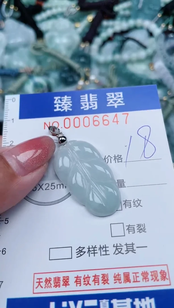 【闪购商品】翡翠颈饰未镶嵌.0006647