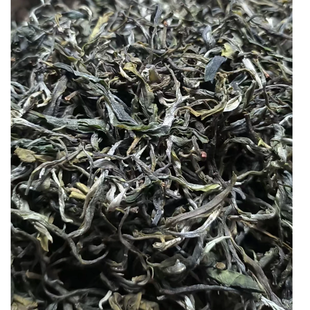 PE1999号2025年马邓云南高山绿茶5-1日