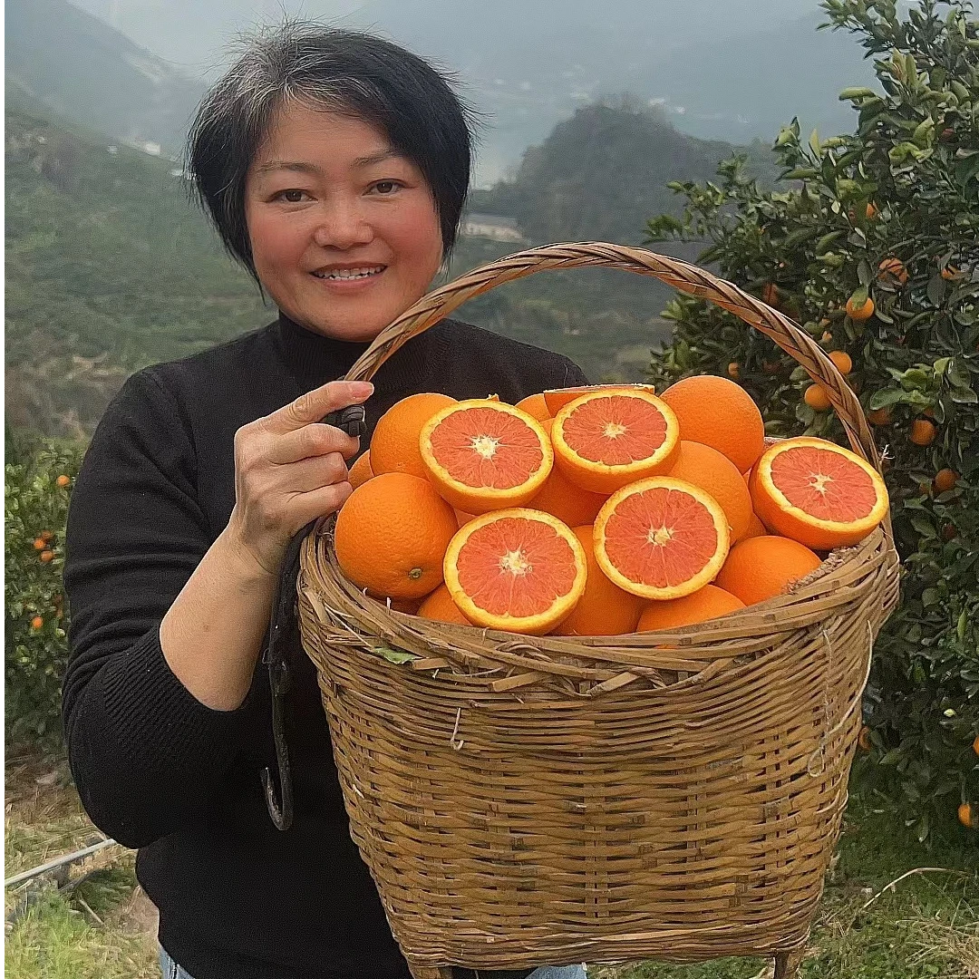 【橙子姐专属】[京东快递]秭归中华红橙 当季现摘新鲜橙血橙