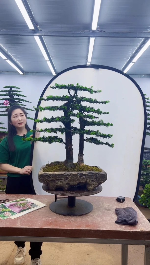 无花朵一物一拍，所见即所得