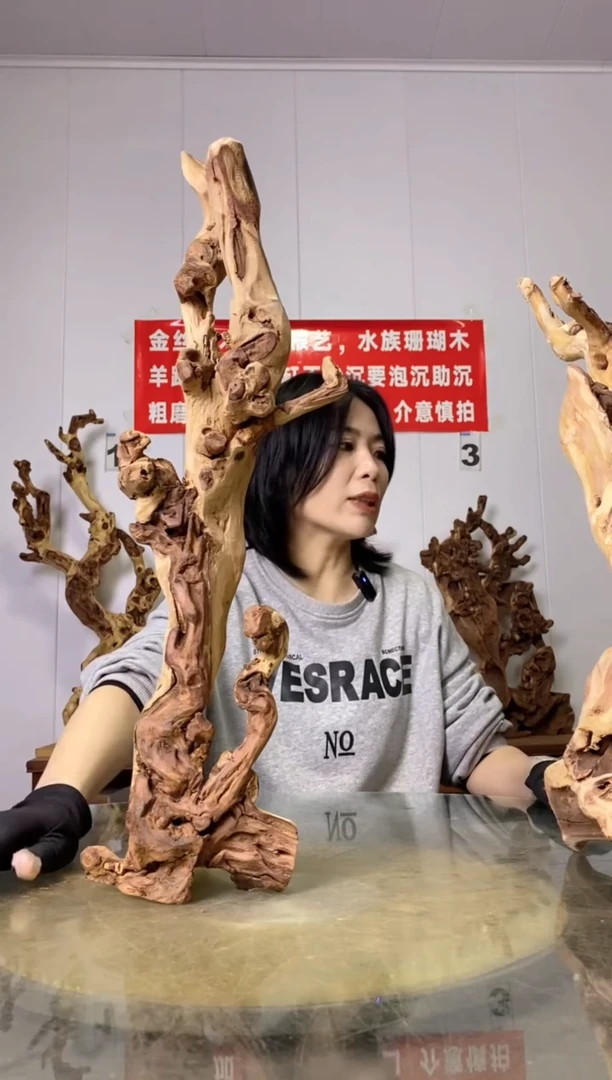 【闪购商品】木29金丝红木 羊蹄甲