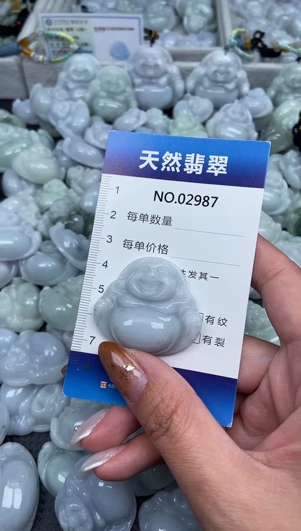 颈饰未镶嵌翡翠纯天然A货翡翠2987