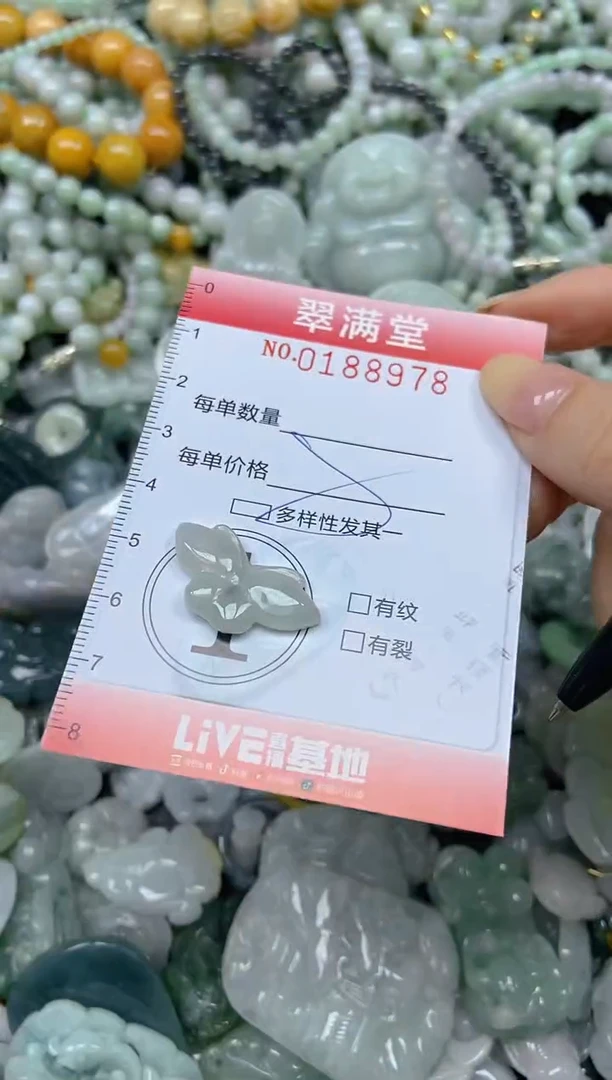 颈饰未镶嵌翡翠闪购0188978