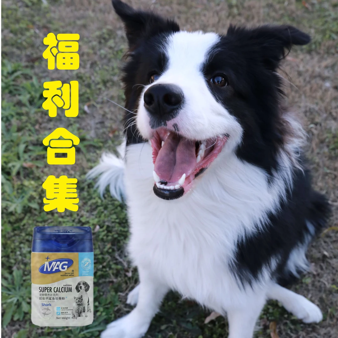 M宠物深海鱼油有助美毛狗狗有助改善脱毛鱼油犬用300ml