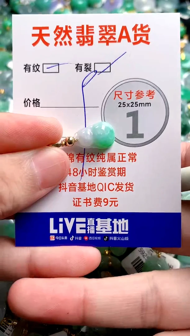 翡翠未镶嵌颈饰13007521