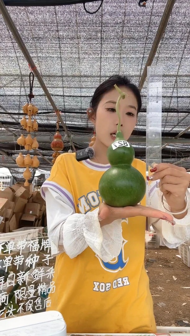 827天然葫芦摆件 一物一拍龙头不保售后