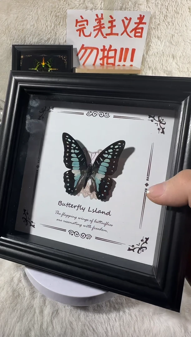 木碎斑清风水晶球