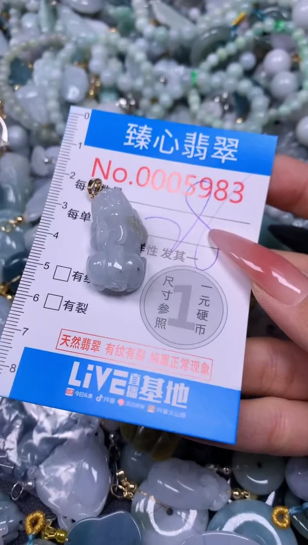 【闪购商品】翡翠颈饰未镶嵌含绳0005983