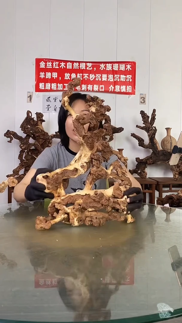 香榧木新****馆金丝红木   羊蹄甲