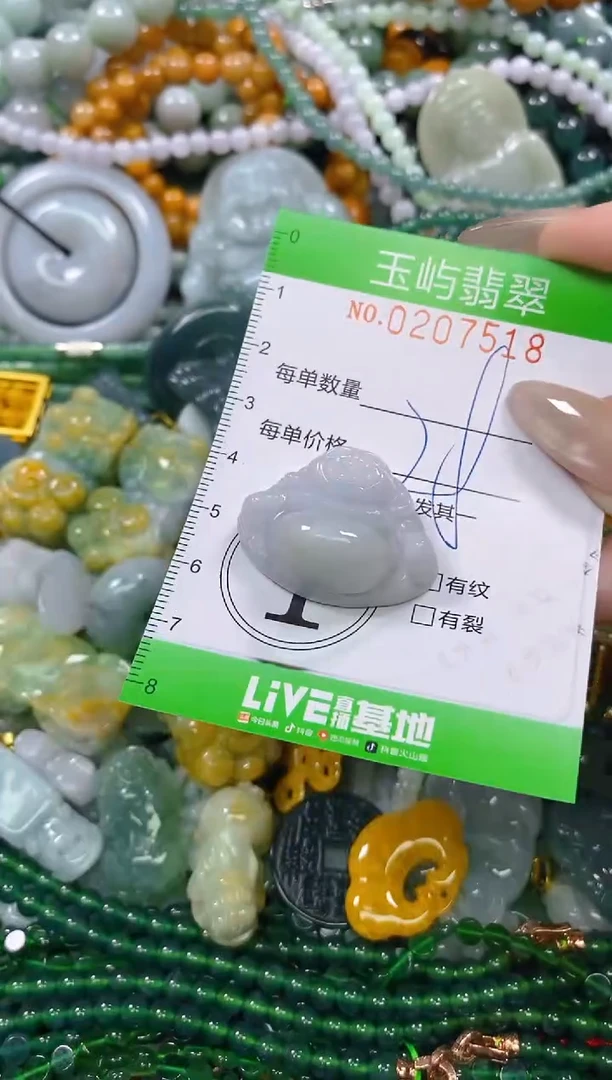 颈饰未镶嵌翡翠闪购0207518