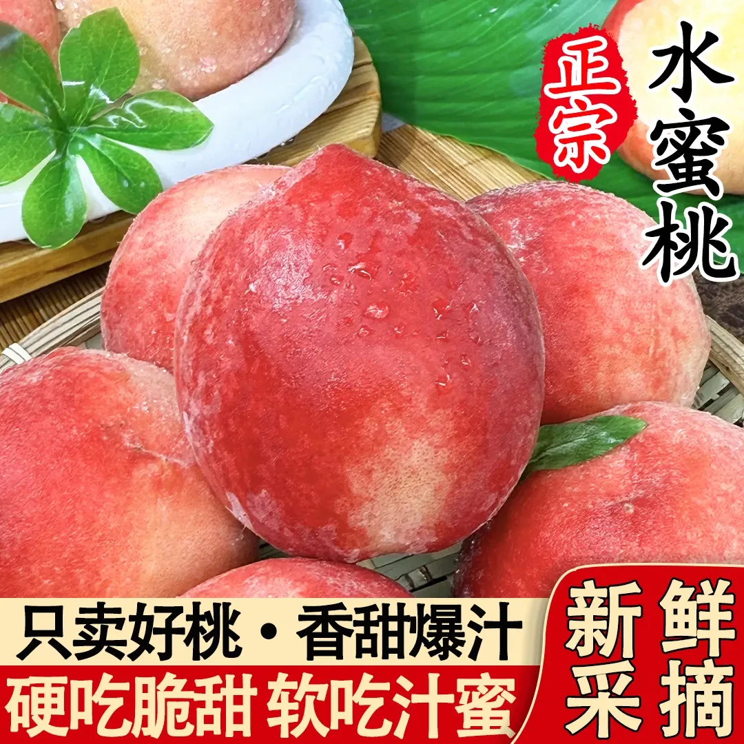 【现摘现发】正宗水蜜桃新鲜采摘应季水果产地直发沂蒙山桃子蒙阴