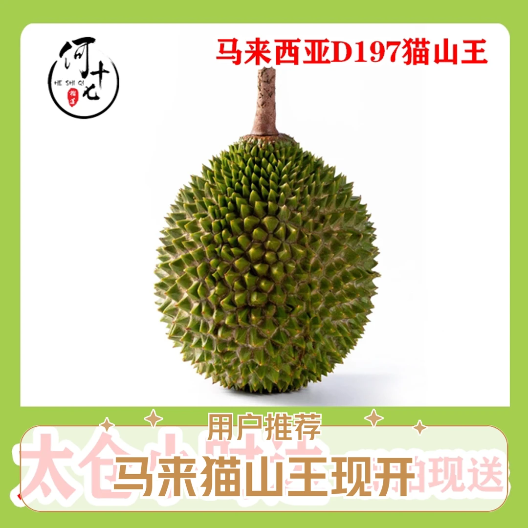 （两斤纯肉肉）马来西亚新鲜树熟锁鲜D197猫山王核小猫山王马来西亚猫山王马来西亚
