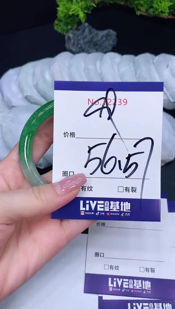 未镶嵌手镯翡翠12239