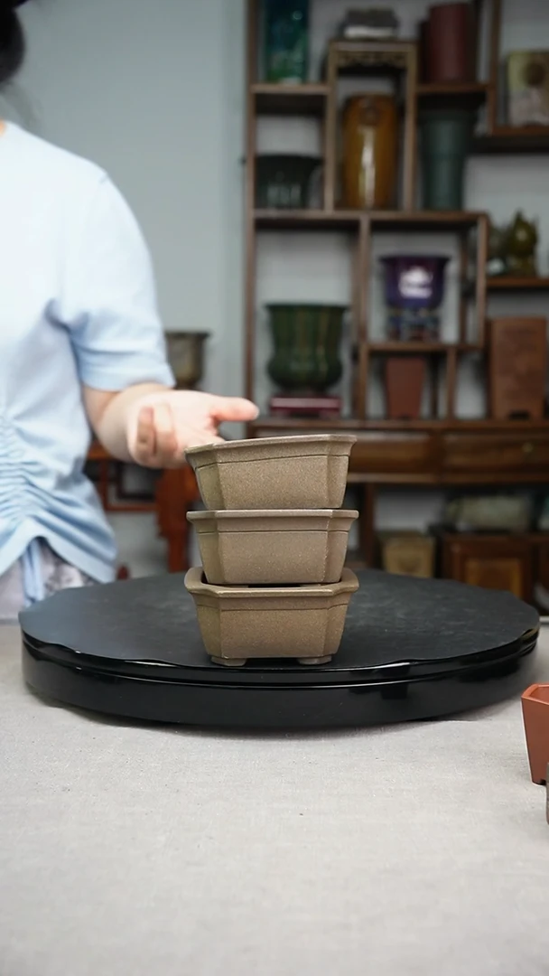 枫**石桐荫轩3免1