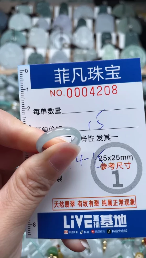 翡翠未镶嵌颈饰00..4208