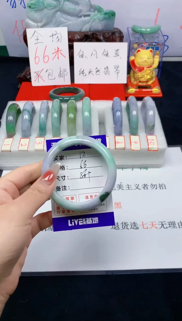 未镶嵌手镯翡翠12