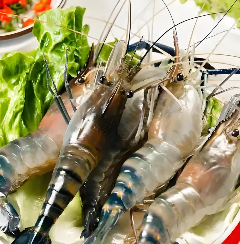 罗氏虾冷冻罗氏虾新鲜速冻淡水虾