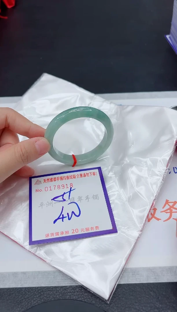 未镶嵌手镯翡翠1111111