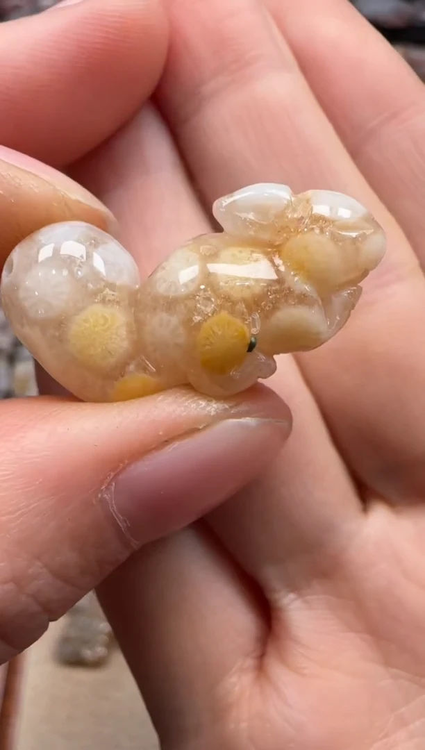 【闪购商品】硅化珊瑚（珊瑚玉）颈饰未镶嵌076