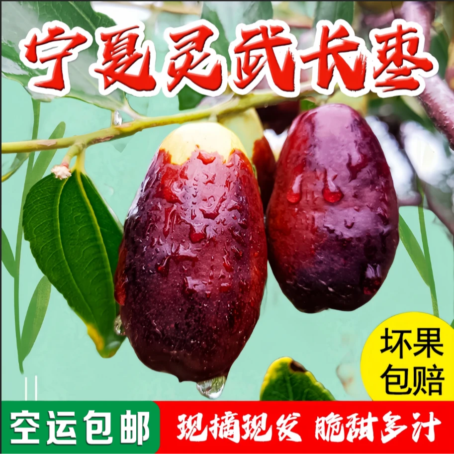灵武长枣【空运包邮】产地直发新鲜脆甜多汁皮薄肉厚应季水果红枣