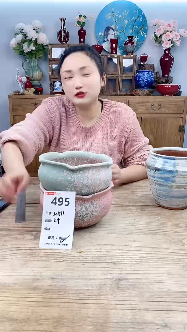 【闪购商品】红陶495