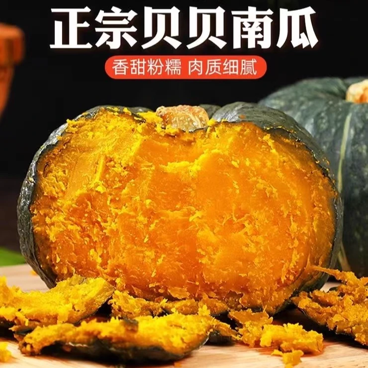 【坏果包赔】沙地贝贝南瓜大果粗粮宝宝辅食粉面香甜普拉提管理期
