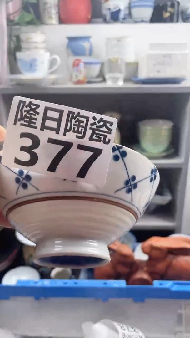 【闪购商品】瓷片377longritaoci