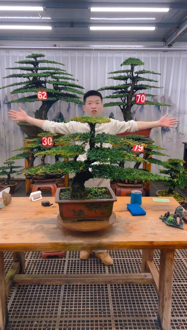 无花朵〆****ღ精品盆景直播间一物一拍