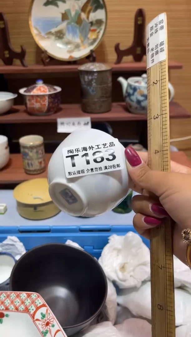 瓷片L*           T183
