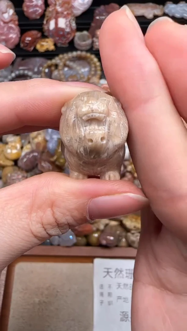 硅化珊瑚（珊瑚玉）未镶嵌颈饰273