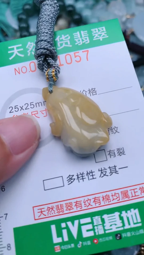 翡翠未镶嵌颈饰.0001057