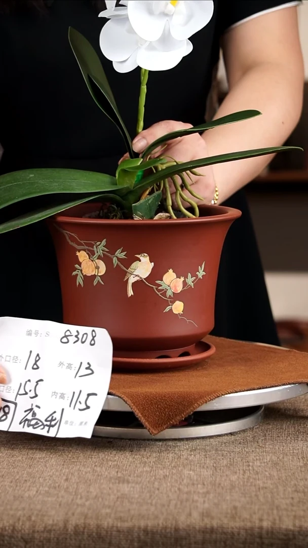 紫砂花盆紫砂花盆8038+z