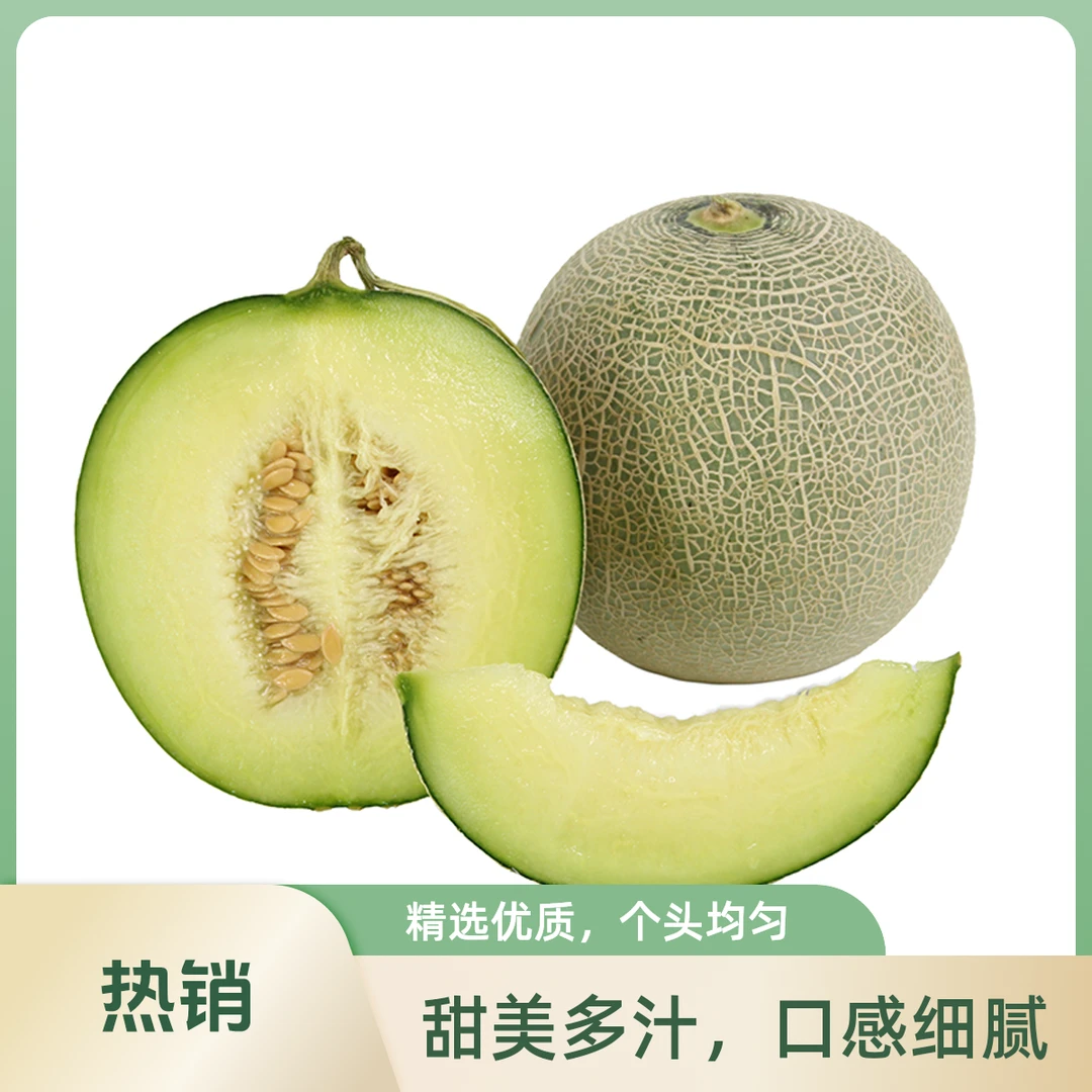 都乐网纹瓜1粒1.25kg新鲜河北省