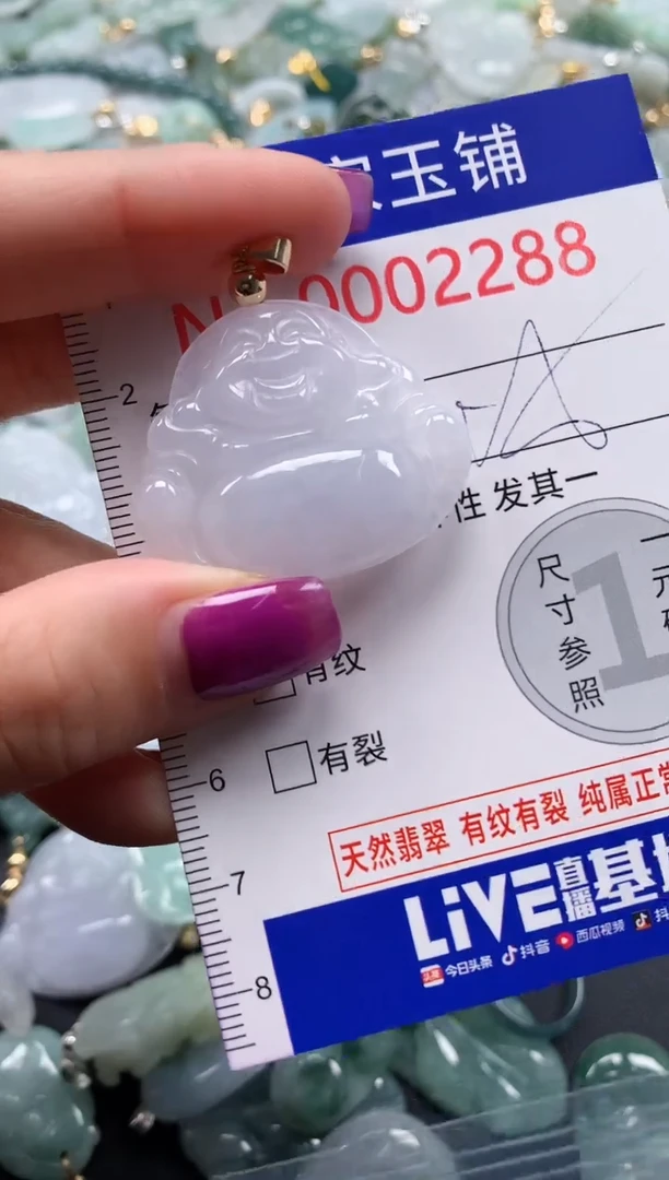 颈饰未镶嵌翡翠2288