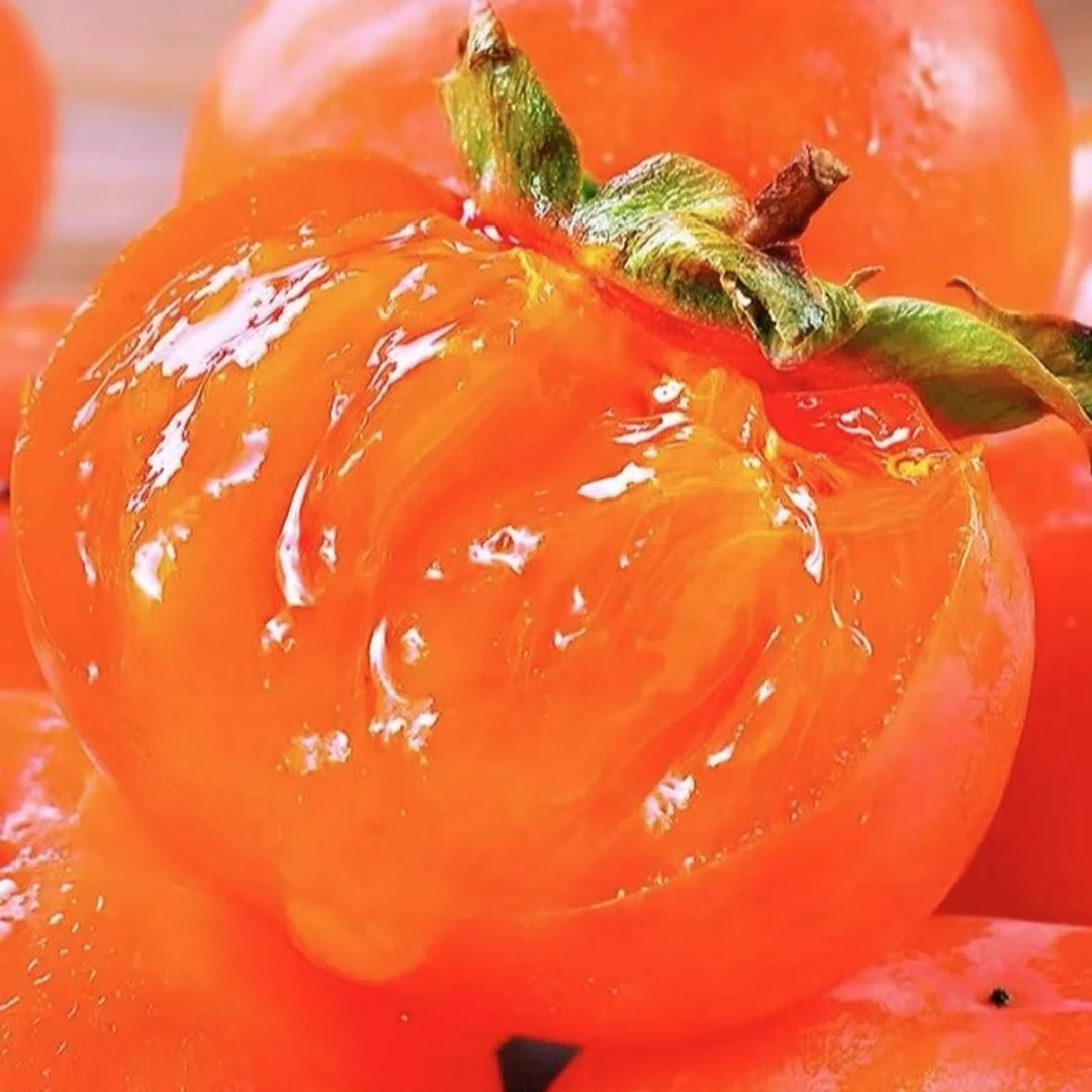 【专属】正宗火晶柿子现摘现发当季水果爆甜多汁放软吃流蜜