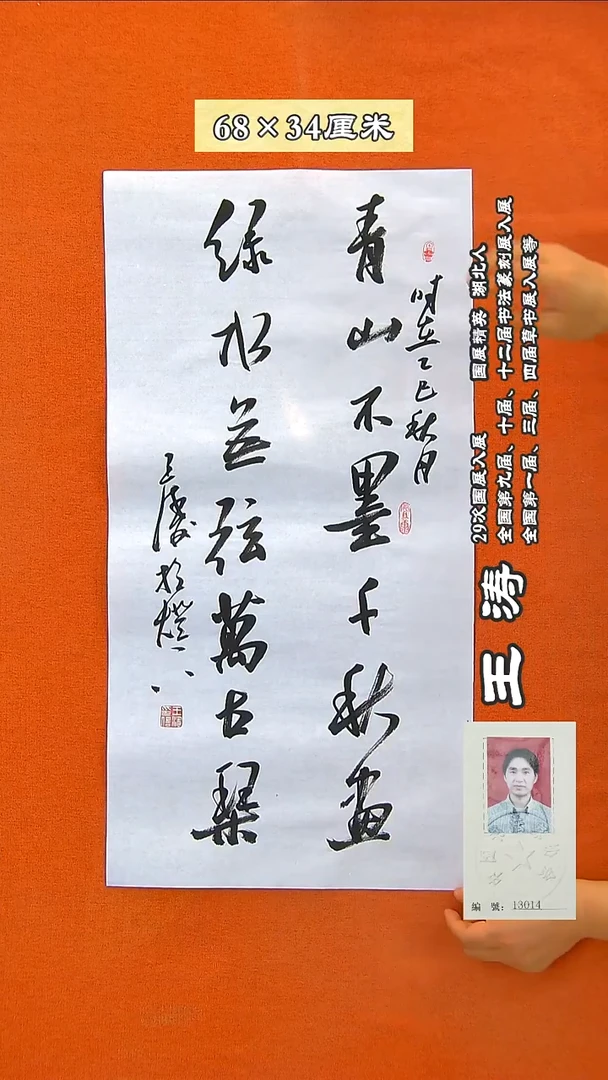 书法206R王涛书法作品