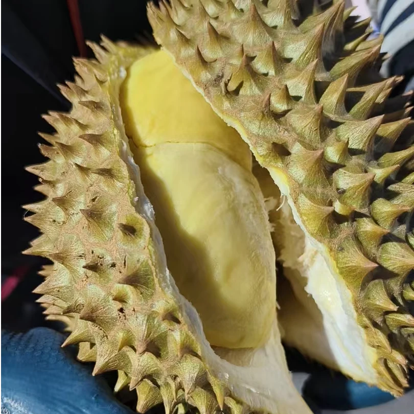 【顶级】泰国金枕榴莲/A果，干包，出肉率高，软糯香甜【直播现称】