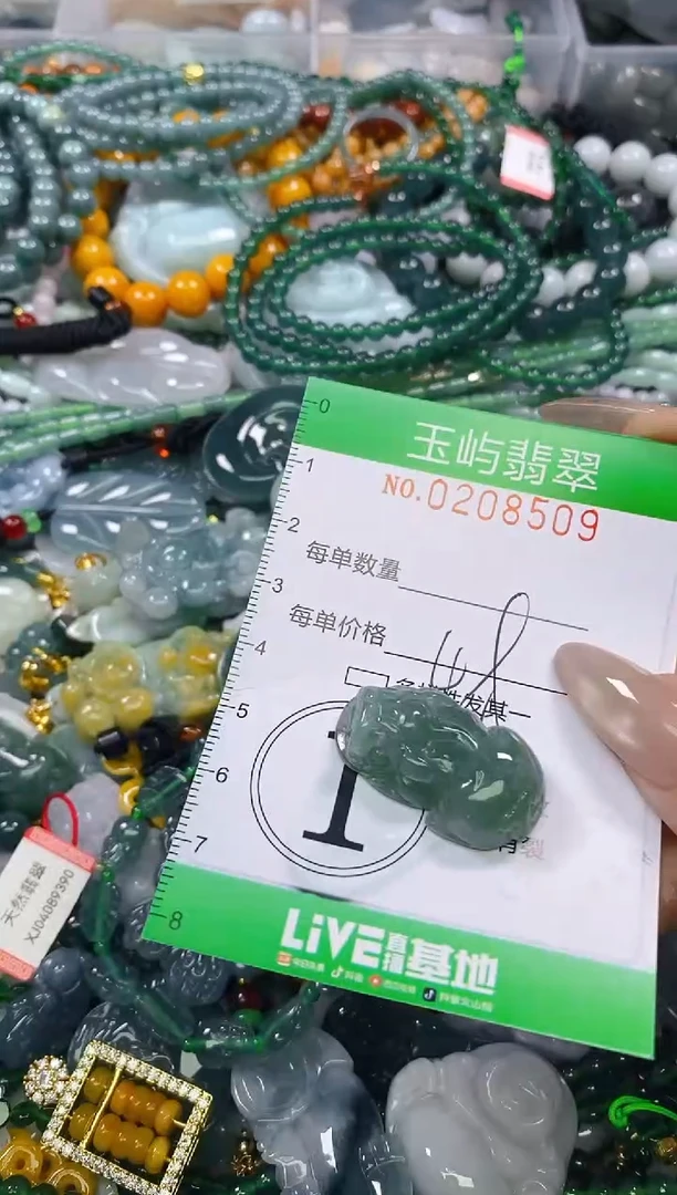 颈饰未镶嵌翡翠闪购0208509